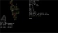 Dungeon Crawl