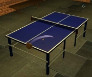 Table Tennis Pro