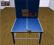 Table Tennis Pro