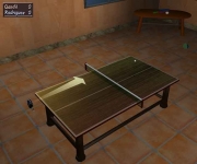 Table Tennis Pro