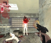 Postal 2: Share the Pain