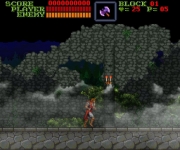 Castlevania: The Bloodletting